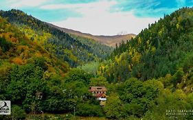 Summer House On A Hill Near Shovi